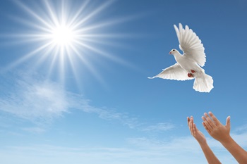 Thriving After Caregiving Group