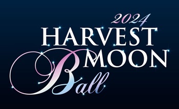 Harvest Moon Ball Henry Ford Health Detroit MI