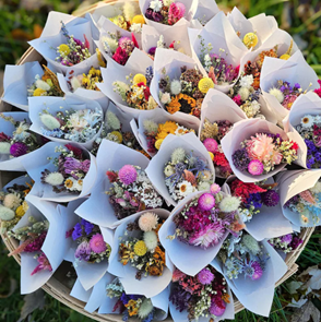 Mini Dried Flowers