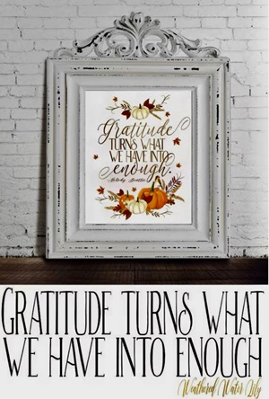 Gratitude
