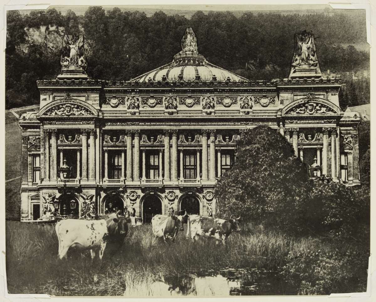 Cows at the Opera House and Other Museum Mysteries image