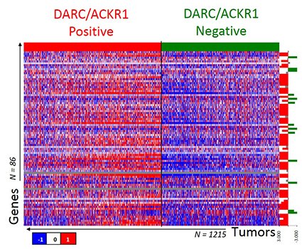 Breast Cancer Research Figure