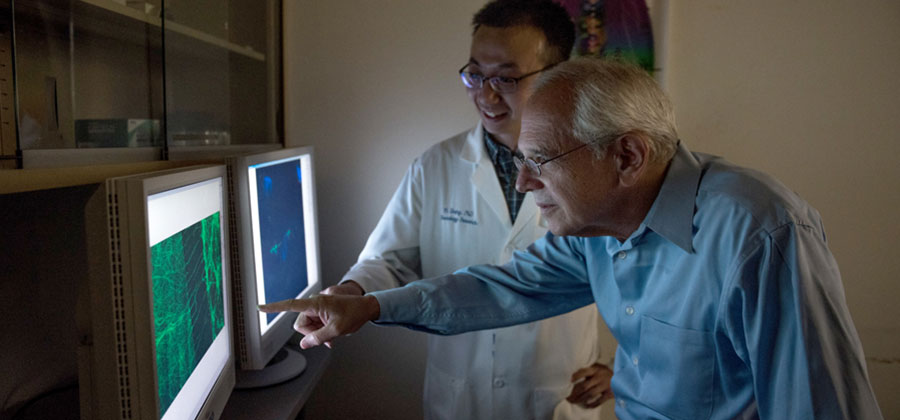 researchers looking a data on computer