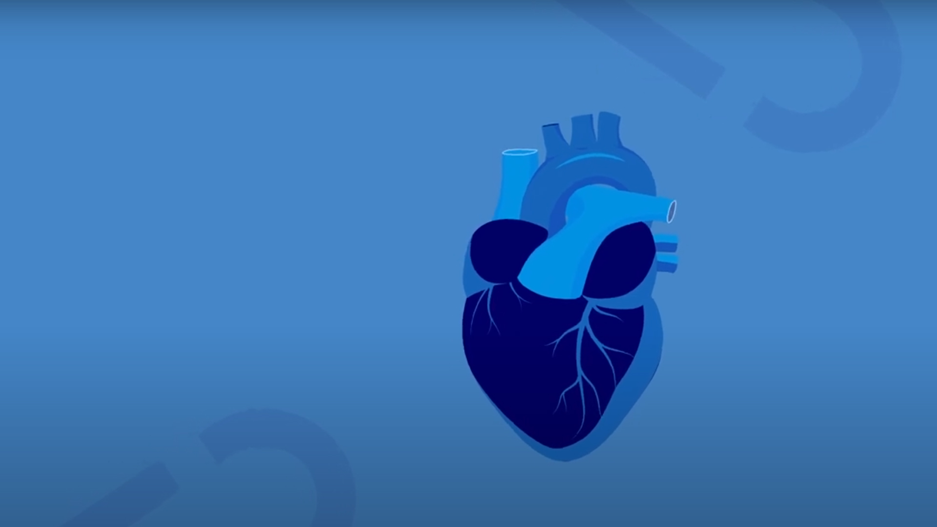 Heart diagram graphic