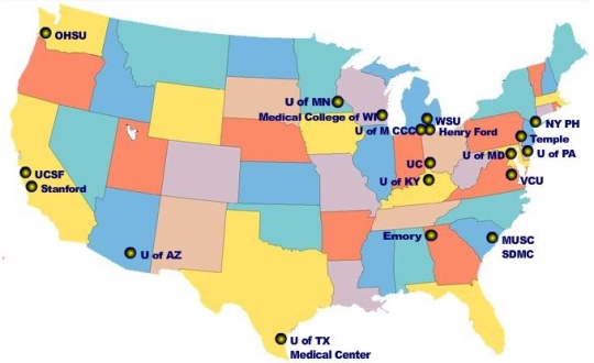nett map