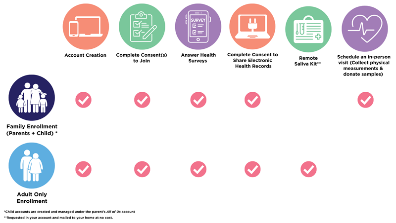 Enrollment Chart