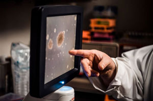 cancer researcher pointing to monitor