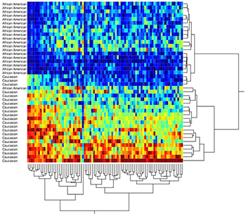 hfci research AA vs WA exosome sized