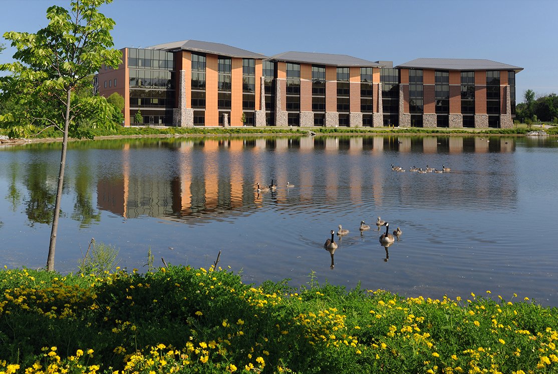 west bloomfield exterior pond with ducks