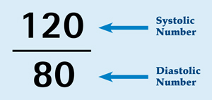 bp numbers