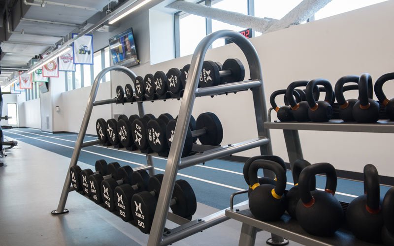 rack of weights