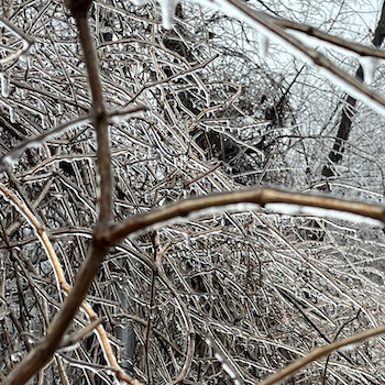 Cold Temperatures
