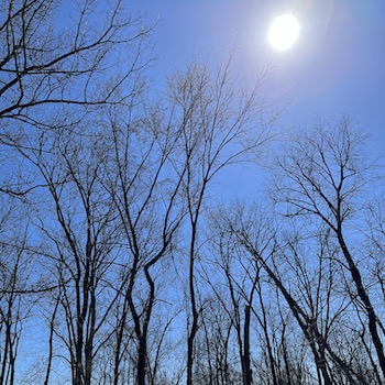 Sunshine