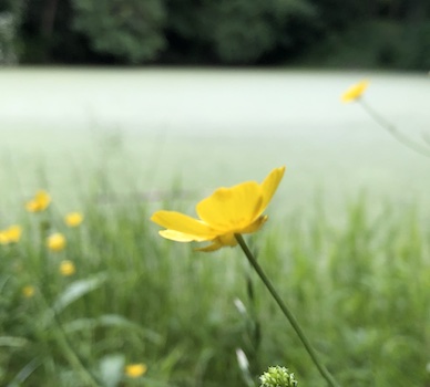 Unplug to Destress