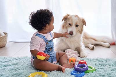 baby and dog playing