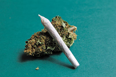marijuana
