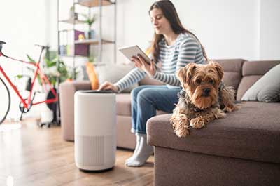 woman setting up air purifier
