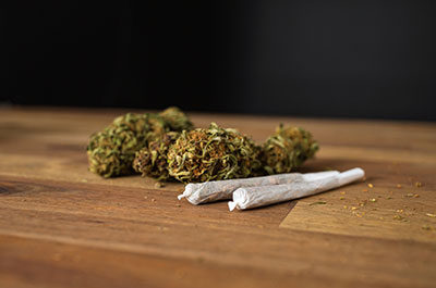 marijuana and voice