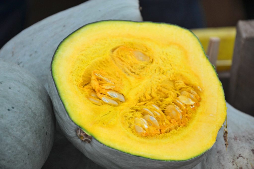 hubbard squash 1024x683