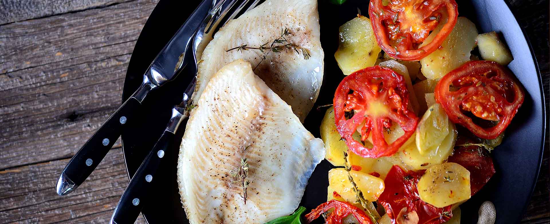 tilapia