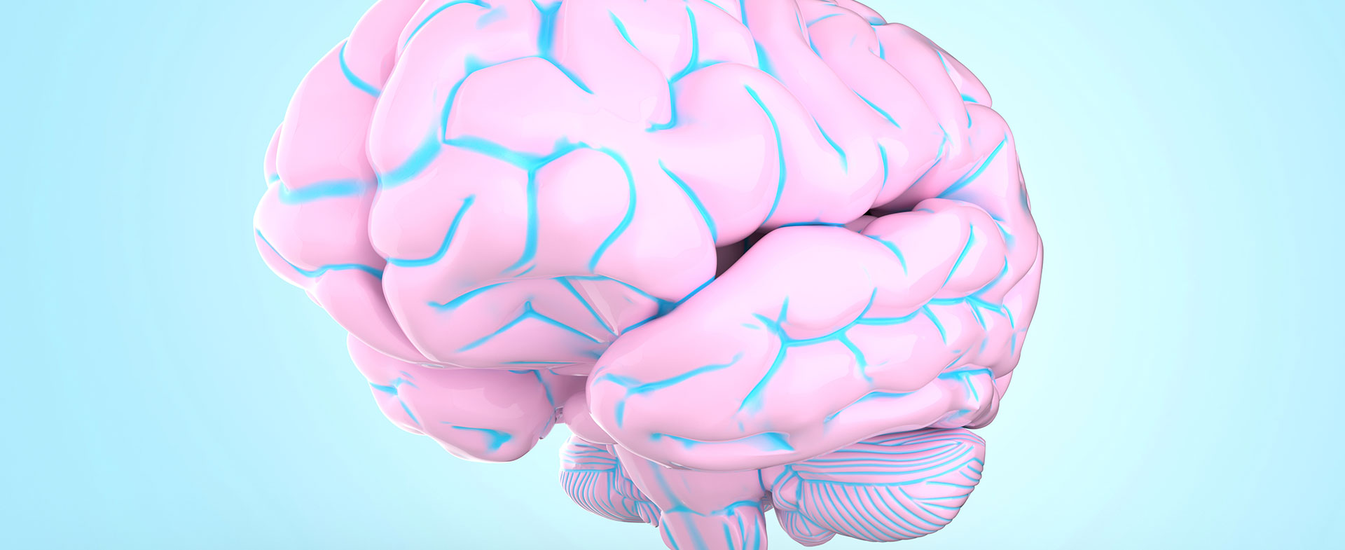 pink brain