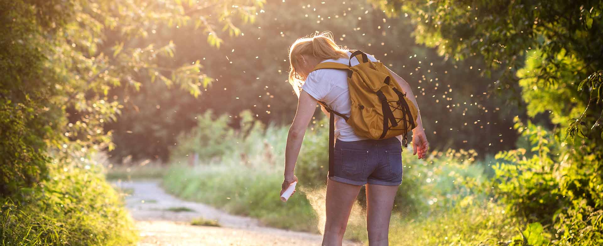 bugs attracted to people