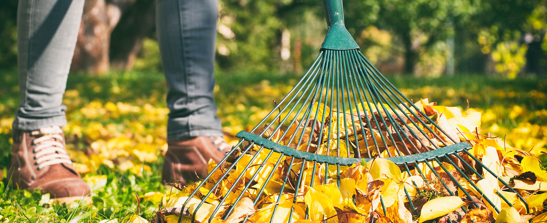 woman raking leaves