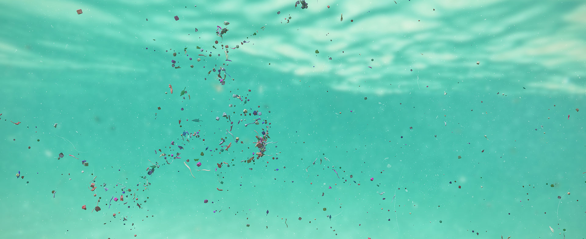 Microplastics Have Been Found In The Human Bloodstream Henry Ford