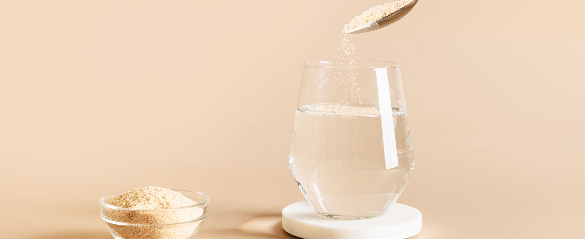 fiber supplements and brain health