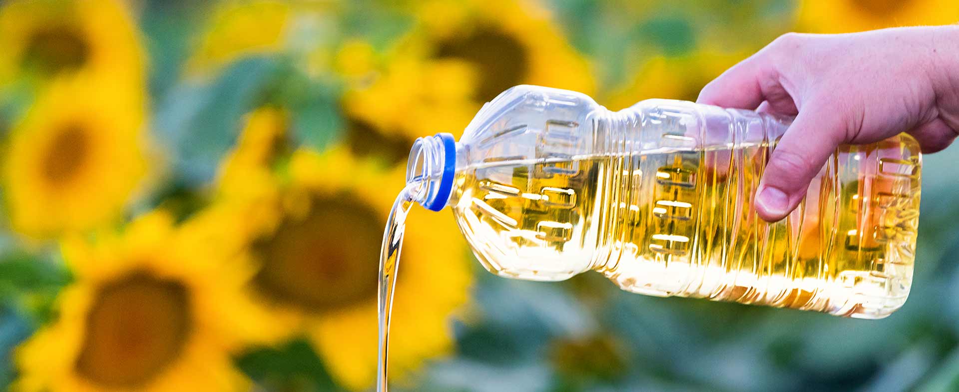 seed oils