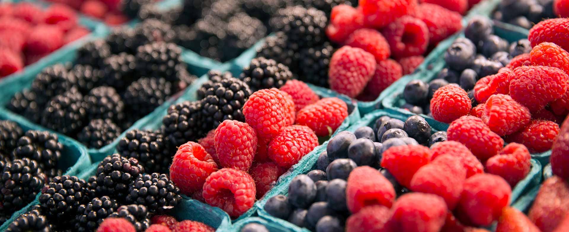 Assortment of fresh berries displayed in light blue cartons. Rows of blackberries, raspberries, and blueberries are visible. berries for fiber