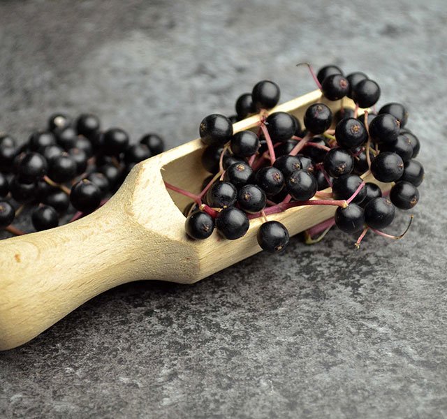 wooden spoon with elderberries