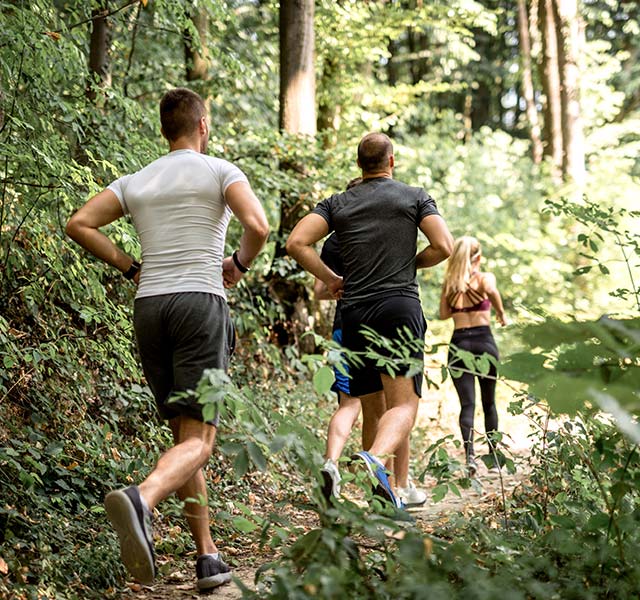 group jogging in forest