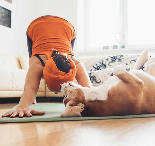 Is It Safe To Workout With Your Dog?