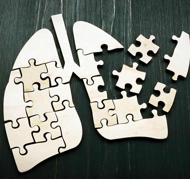 lungs puzzle