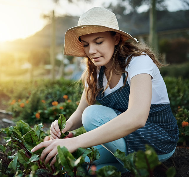 farmer gardening