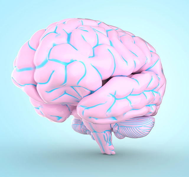 Brain Cancer