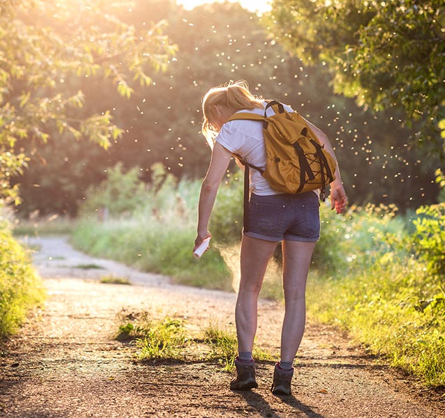 bugs attracted to people