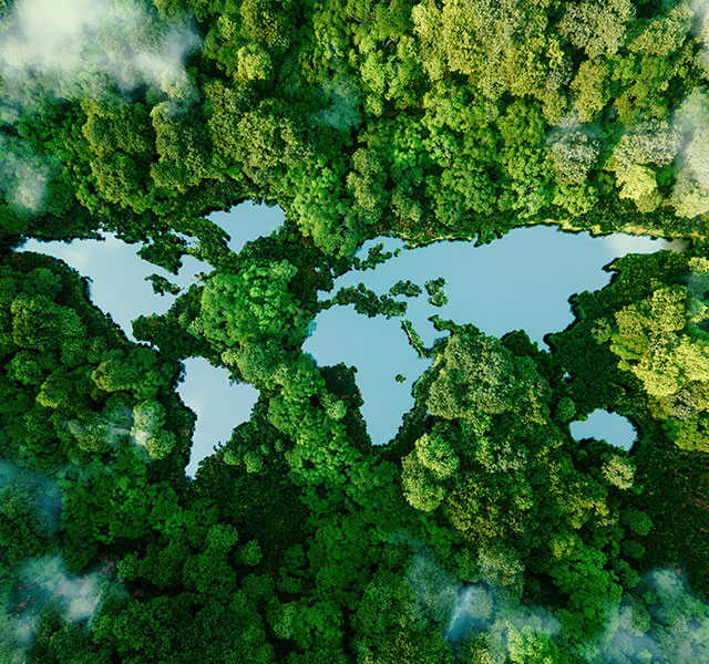 world birds eye view