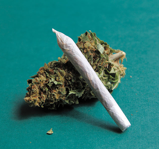 Legal Age for Marijuana in New Jersey: What You Need to Know Marijuana: What You Should Know | Henry Ford Health - Detroit, MI