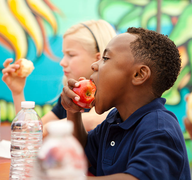 school lunches