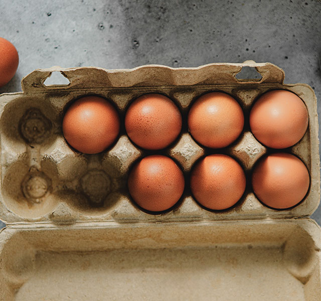 eggs for cognitive decline