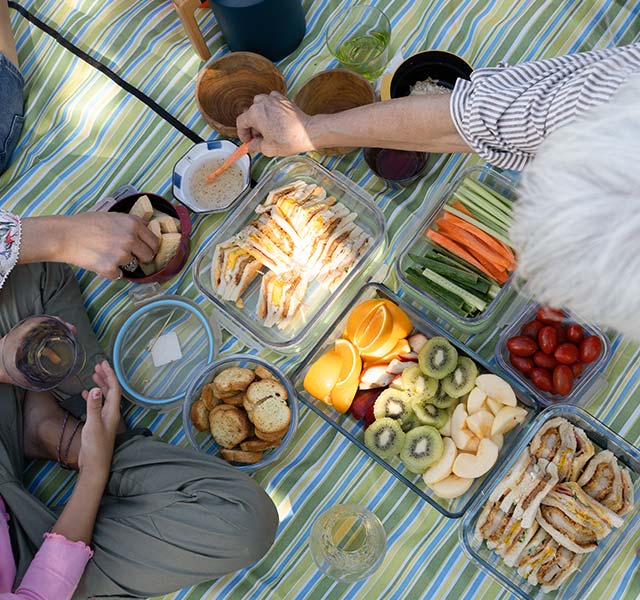 A picnic setup on a striped blanket featuring various foods including sliced fruits, vegetables, sandwiches, crackers, and cheese. Several hands are reaching for the food. wellness on the go