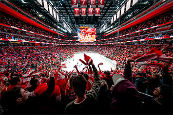 Crowd at a Detroit Red Wings game