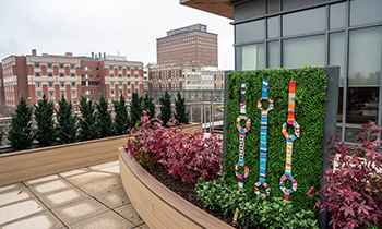 Outdoor art display