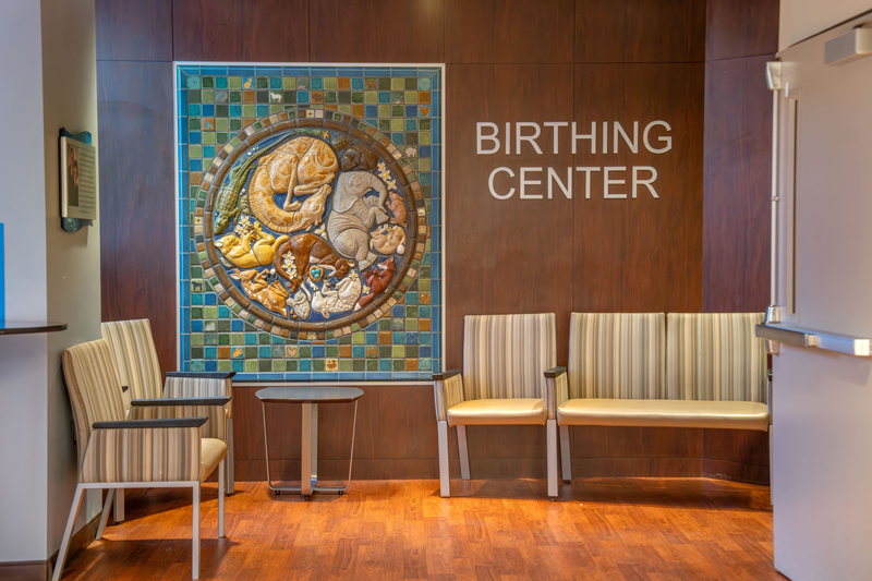Henry Ford St. John Hospital birthing center waiting room