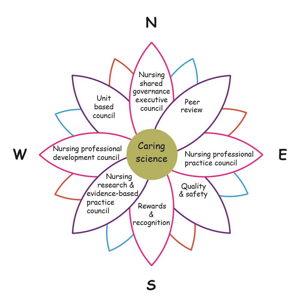 Nursing Professional Practice Model