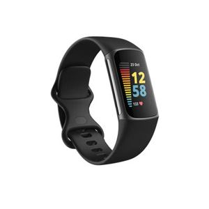 Fitbit device