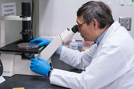 Dr. Mi looking through a microscope