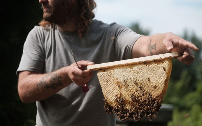 keith steller holding a honeycomb